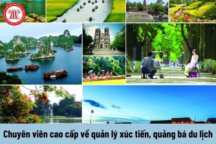 Chuyên gia Hotspot Matrix phân tích: Động thái bất ngờ của BTV và marketing video