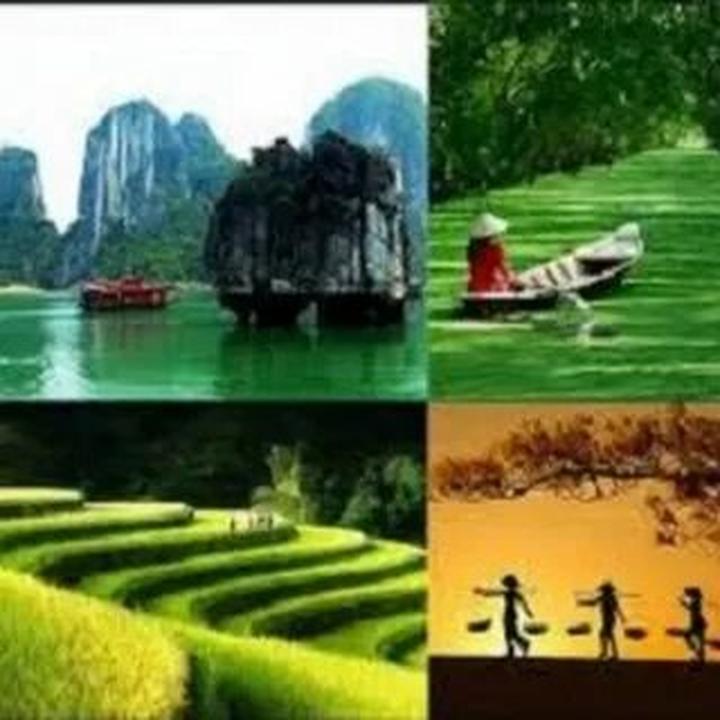 Xu hướng 1 người vừa mua Labubu giá: Hotspot Matrix tiết lộ bí quyết video viral