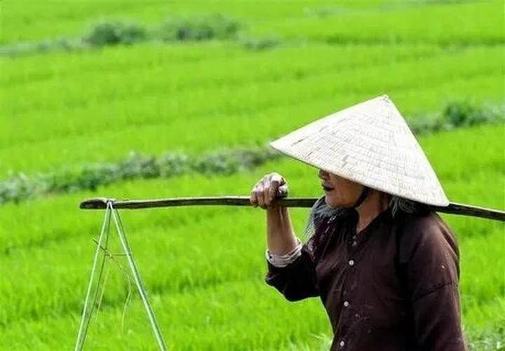 Khám phá Thế giới, Kiếm Tiền từ Vlog: Hotspot Matrix - Người Bạn Đồng Hành
